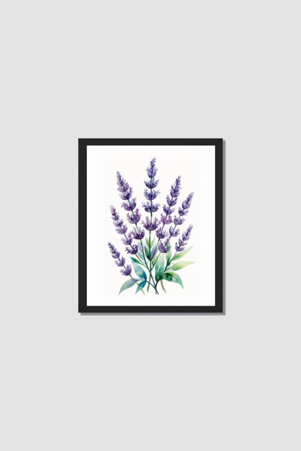 lavender-flowers 8x10